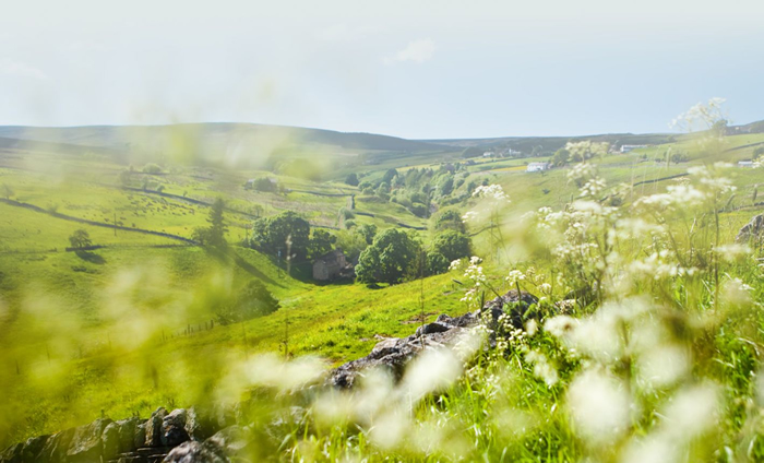 Durham Dales